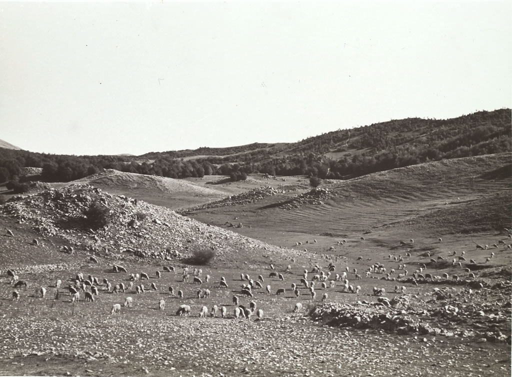 Altipiano sopra Cervara