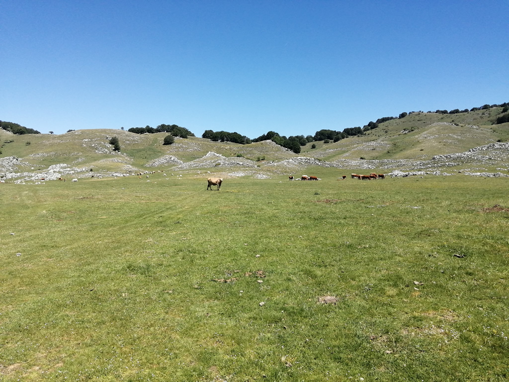 Altopiano di Camposecco