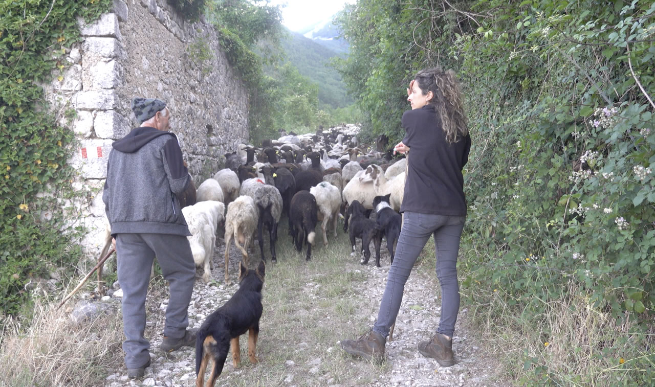 Foto di Donatella Cedrone